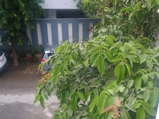 200 Sq.Mt. Plot in Sector 15a Noida Listing ID: #10000