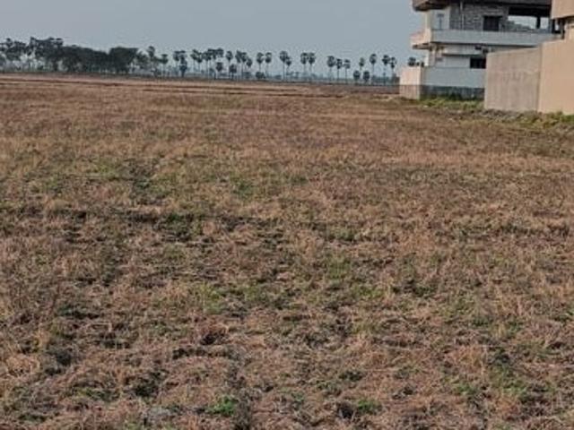 200 Sq.Yd. Plot in Vuyyuru Vijayawada Listing ID: #10398