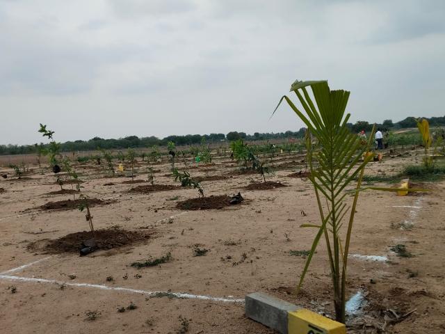 200 Sq.Yd. Plot in Batasingaram Hyderabad Listing ID: #8809