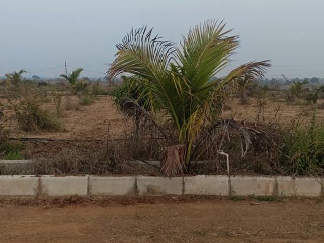200 Sq.Yd. Plot in Chintapalli Hyderabad Listing ID: #10035