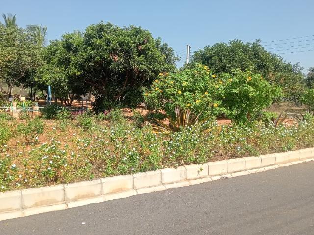 200 Sq.Yd. Plot in Kadthal Hyderabad Listing ID: #9601