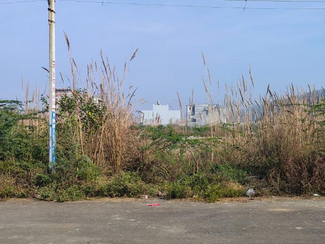 200 Sq.Yd. Plot in SectoR 35 Rohtak Listing ID: #9823