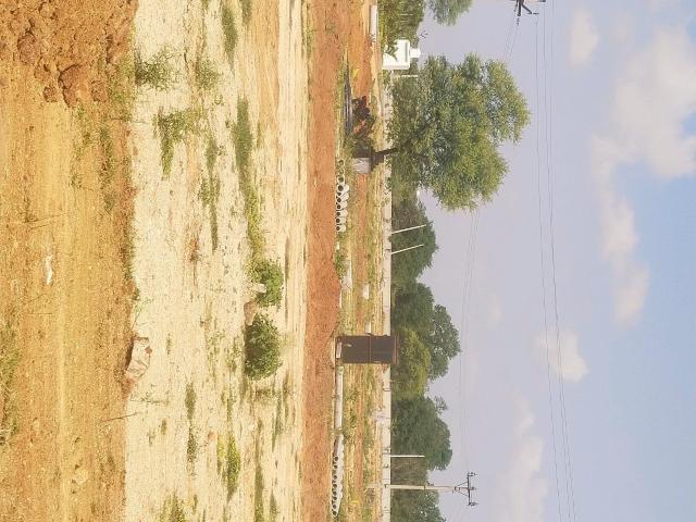 200 Sq.Yd. Plot in Shadnagar Hyderabad Listing ID: #10109