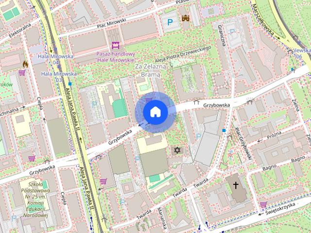 200m2 apartament ul. Grzybowska, centrum