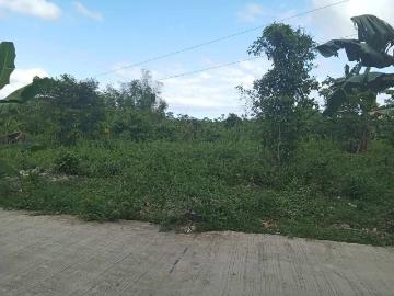 200sqm Titled lot Residential Farm For Sale in Sogod Cebu [Lots ] April 2025 in Sogod, Cebu for sale