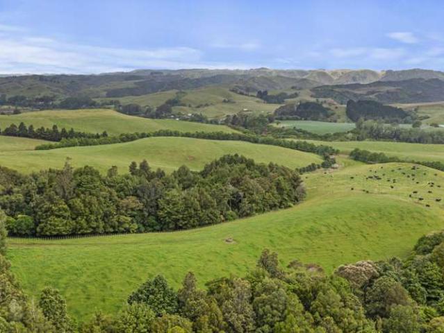 201 Checkley Road, Raglan, Waikato