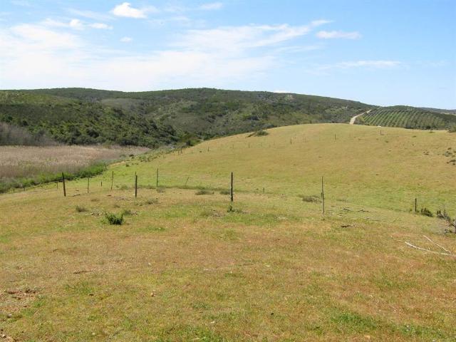 201 ha Farm in Stilbaai Rural