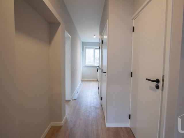 20250514 Hoogstraat