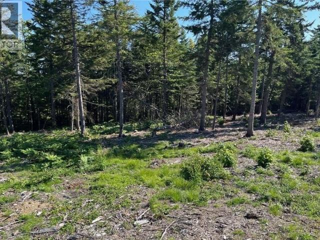 2021 1 Trailside Lane