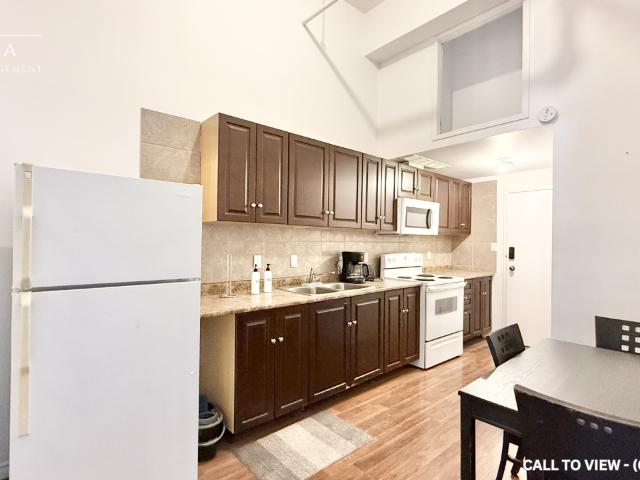 202 75 Kensington Ave, Toronto, Ontario M5T 2K2 CONTEMPORARY 2 BEDROOM APARTMENT WITH UPGRADED FEATURES House for Rent