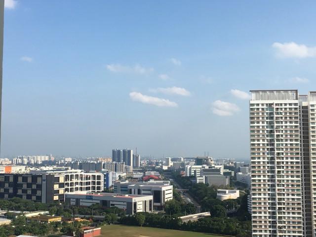 202 Bukit Batok Street 21 HDB Apartment For Rent, $4,200, 4 Bed 2 Bath 1,604 sqft $2.62 psf