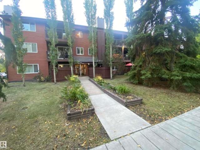 203 10826 Street, Edmonton, AB, T5H 3J2 condo for sale | Listing ID E4488 | Royal LePage