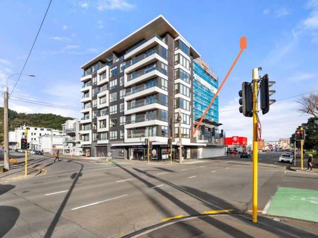 204/4 Elizabeth Street, Mount Victoria, Wellington City