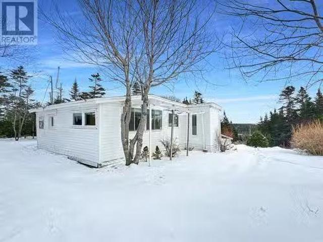 204 206 Vineland Road, Salmonier, NL, A0A 2R0 recreational f.