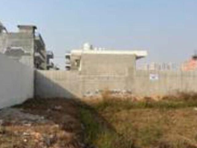 204 Sq.Yd. Plot in Badauli Village Faridabad Listing ID: #10051