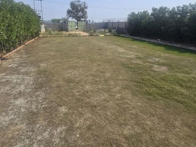 204 Sq.Yd. Plot in Sector 42 Gurgaon Listing ID: #10108