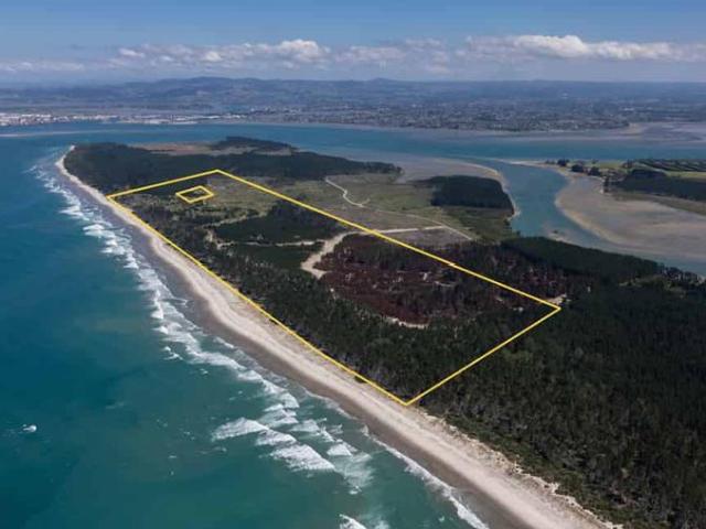 205 Matakana Island, 148 HA, Matakana Island, Western Bay Of P.