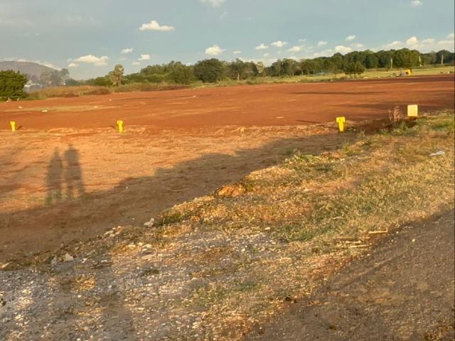 205 Sq.Yd. Plot in Vijayawada One Town Vijayawada Listing ID: #9923
