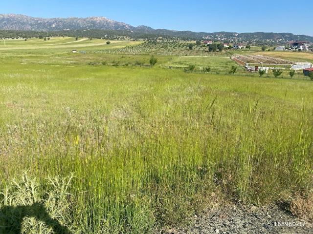 2082 m2 TARLA YAYLA KARAÇULHA SARIBAŞ DA