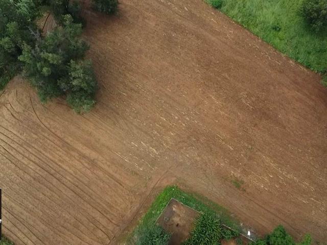 209 ha Farm in Greytown