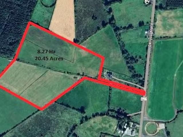 20.45 Acres / 8.276 Hectares, Derryoughter East, Kildangan, Co.