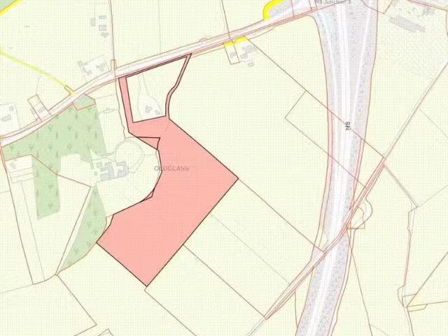 20.85 Acres Lands Oldglass, Grantstown, Ballacolla, Co. Laois
