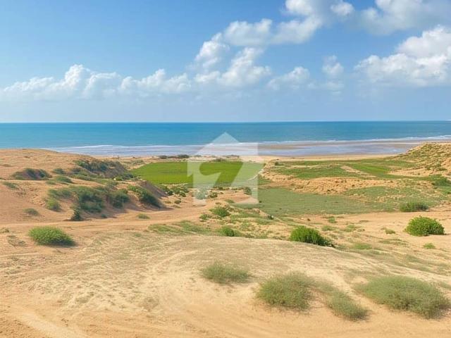 20 Acre Agricultural Land For Sale In Mouza Shatangi, Gwadar