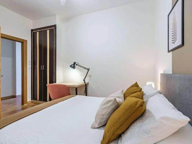 20 Dormitorio Shared Living/Roommate Malaga Malaga 103802767