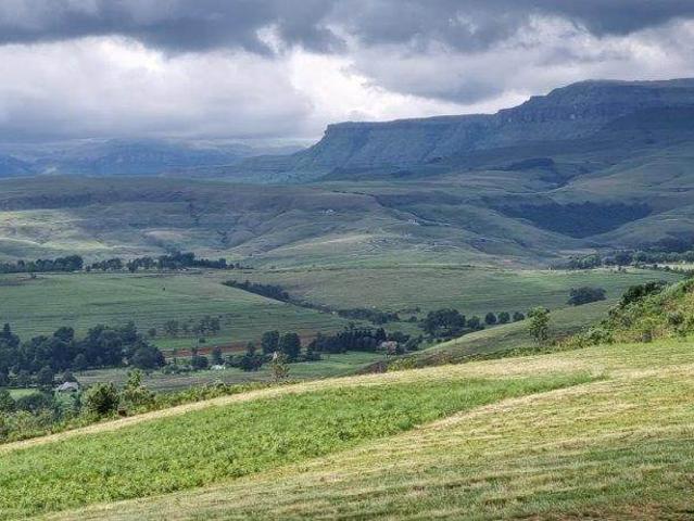 20 ha Farm in Cathkin Park