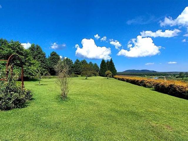 20 ha Farm in Howick