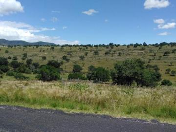 20 Hectareas Altzayanca Tlaxcala