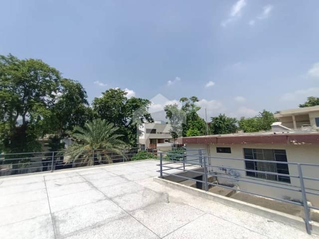 20 Kanal Farm House For Sale