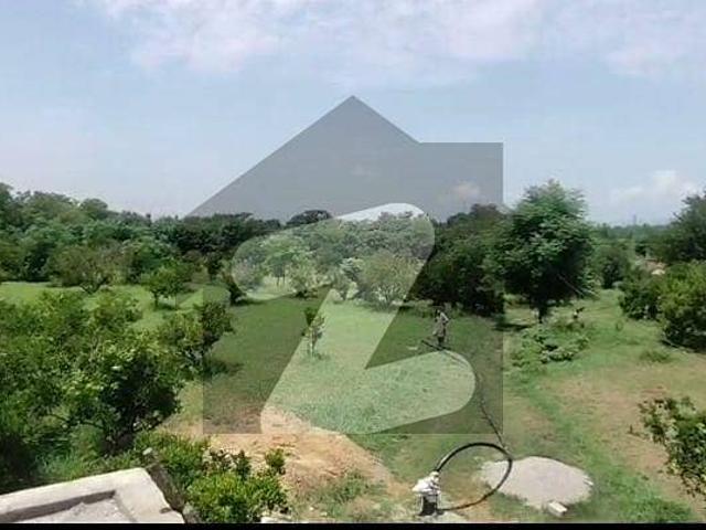 20 Kanal Orange Bagh Land For Sale