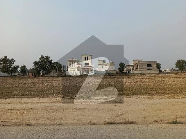 20 Marla Plot In S Block On Pine Evenue Road Near Lack City Lahore