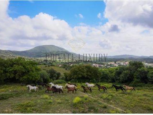 20 quarto, Setúbal Setúbal 97100847