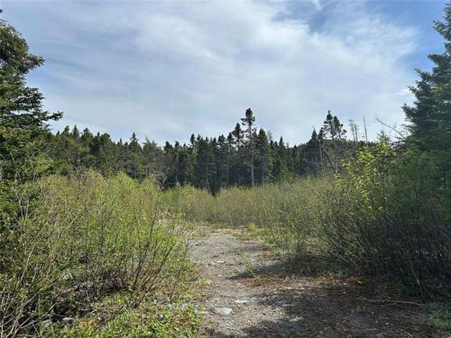 20 Ryan Road, Spaniard'S Bay, NL, A0A 3X0 vacant land for sale | Listing ID 1301 | Royal LePage