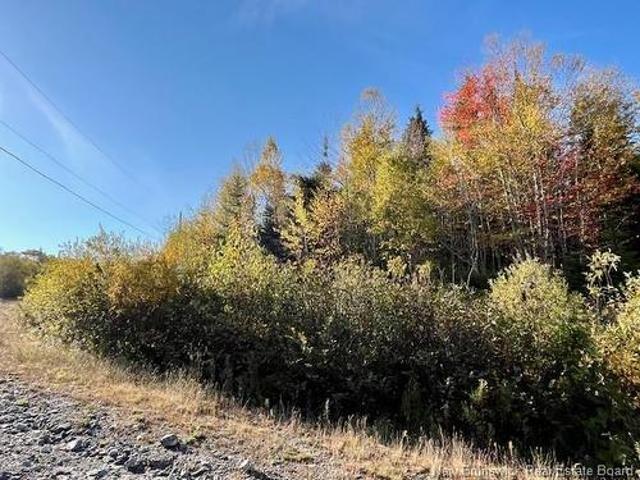 20 Saddlebrook Crt, Saint John, NB, E2N 1G9 vacant land for sale | Listing ID NB127990 | Royal LePage