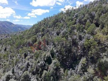20has en Acaxochitlán, Hidalgo
