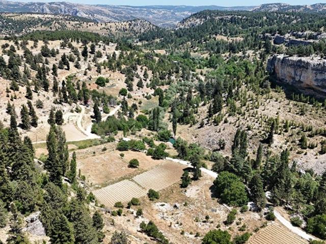 2100 m2 MERSİN ERDEMLİ GÜZELOLUK
