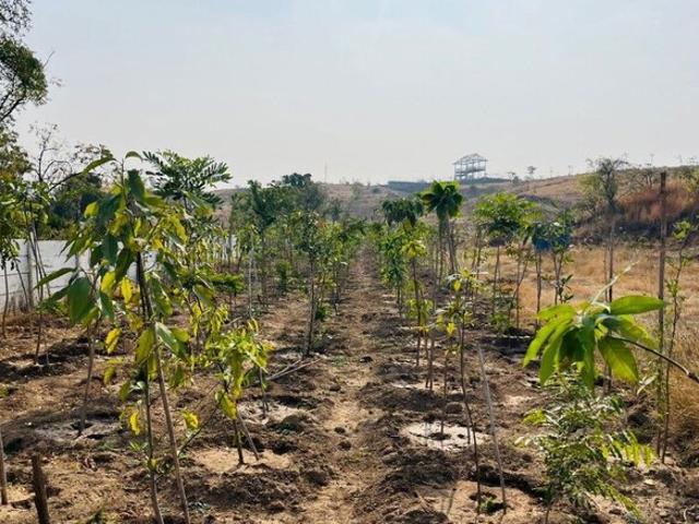 2100 Sq.Ft. Plot in Shirwal Satara Listing ID: #10192