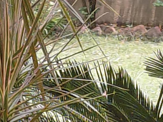 210 Sq.Mt. Plot in Ashiyana Colony Moradabad Listing ID: #9345