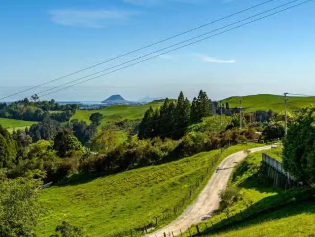 211 Warner Road, Oropi, Tauranga