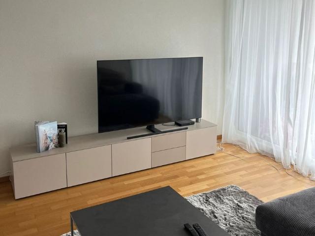 21/2 ROOM APARTMENT IN THUN BE, FURNISHED, TEMPORARY