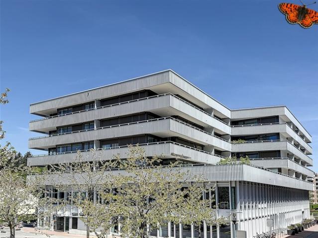 21/2 ZIMMER – Neu mit Balkon