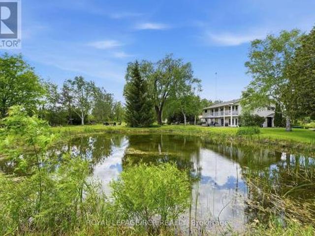 21324 Mccowan Road, East Gwillimbury, ON, L0G 1M0 house for sale | Listing ID N13446 | Royal LePage