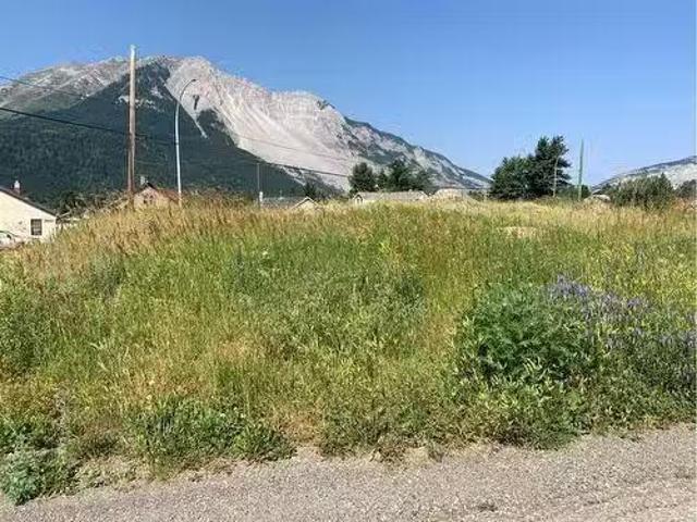 21409 27 Avenue, Bellevue, AB, T0K 0C0 vacant land for sale.