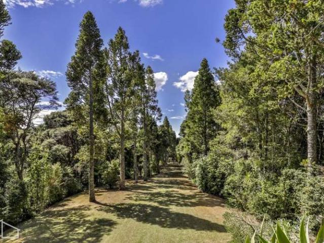 215 Konini Road, Titirangi, Waitakere City