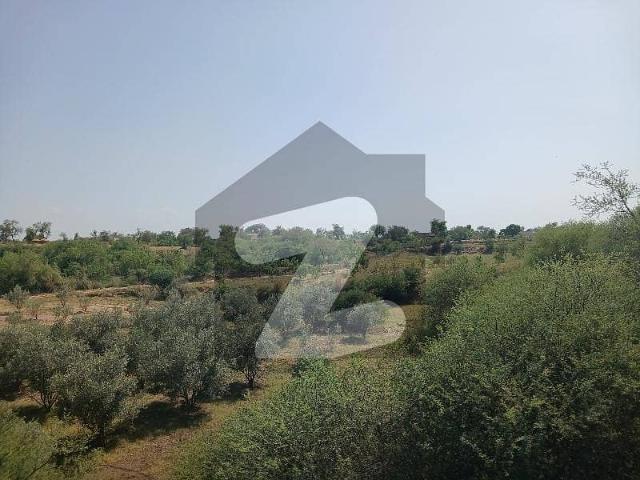 215 Kanal Agriculture/Farm House Land For Sale Balkasar