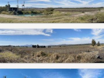 217 HECTÁREAS EN VENTA LOS AMOLES GUANAJUATO ENTRE LEÓN Y SILAO