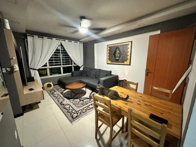 217B Boon Lay View HDB Apartment For Sale, $500,000, 2 Bed 2 Bath 731 sqft $684.00 psf